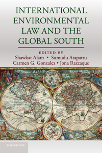 International Environmental Law and the Global South