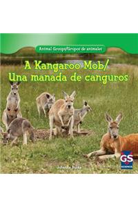 A Kangaroo Mob/Una Manada de Canguros