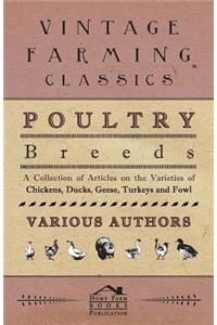 Poultry Breeds - A Collection of Articles on the Varieties of Chickens, Ducks, Geese, Turkeys and Fowl