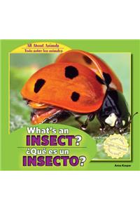 What's an Insect? / ¿Qué Es Un Insecto?