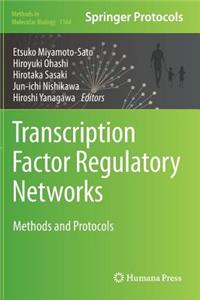 Transcription Factor Regulatory Networks