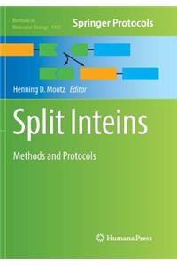 Split Inteins