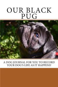 Our Black Pug