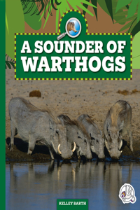 Sounder of Warthogs