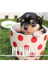 Puppies Calendar 2016