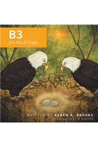 B3 the Adult Eagle