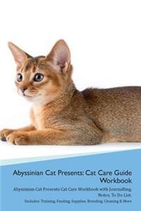 Abyssinian Cat Presents