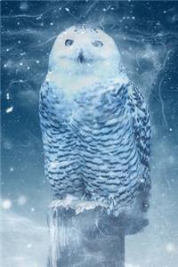 Sweet Snowy Owl Illustration Art Journal