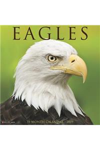 Eagles 2019 Wall Calendar