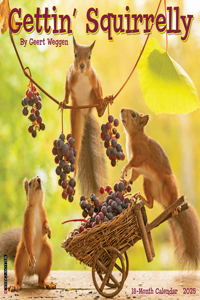 Gettin' Squirrelly 2026 12 X 12 Wall Calendar