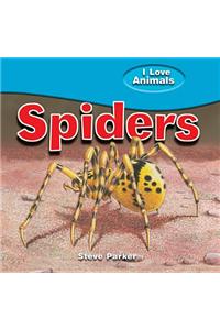 Spiders