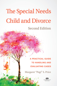 Special Needs Child and Divorce