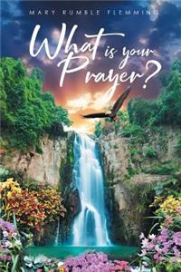 What Is Your Prayer?