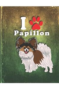 Papillon