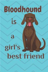 Bloodhound is a girl's best friend