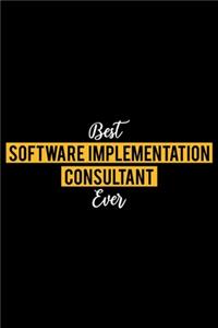 Best Software Implementation Consultant Ever