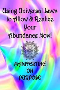 Using Universal Laws to Allow & Realize Your Abundance Now! Manifesting on Purpose