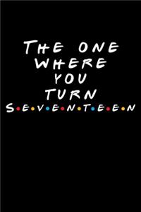 The One Where You Turn Seventeen (17)