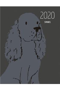 2020 Spaniel