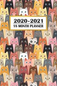 2020 - 2021 18 Month Planner