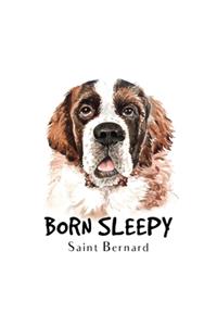 Born Sleepy Saint Bernard