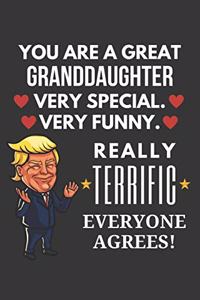 You Are A Great Granddaughter Very Special Very Funny Really Terrific Everyone Agrees! Notebook