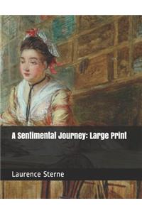 A Sentimental Journey: Large Print