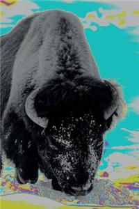 Buffalo