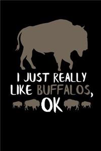 I Just Really Like Buffalos, Ok