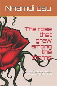 rose that grew among the thorns