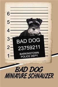 Bad Dog Miniature Schnauzer