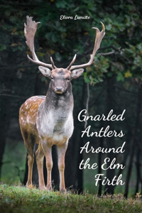 Gnarled Antlers Around the Elm Firth