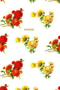 Notes