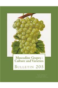 Muscadine Grapes