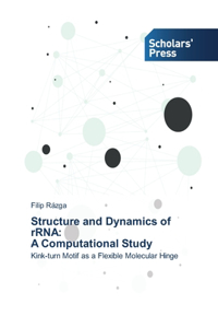 Structure and Dynamics of rRNA