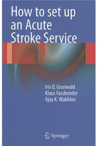 How to Set Up an Acute Stroke Service