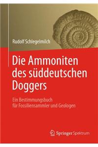 Die Ammoniten des süddeutschen Doggers