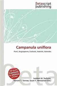 Campanula Uniflora