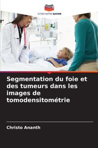 Segmentation du foie et des tumeurs dans les images de tomodensitométrie