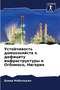 Устойчивость домохозяйств к дефициту инф