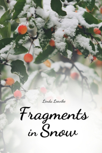 Fragments in Snow