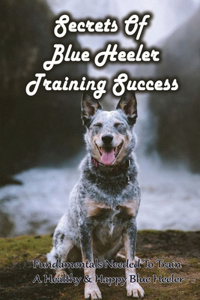Secrets Of Blue Heeler Training Success