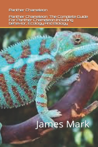 Panther Chameleon