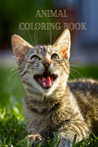 Animal Coloring Book