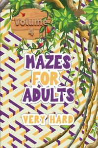 Mazes for adults