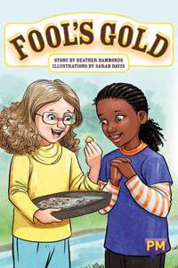 PM RUBY FOOLS GOLD PM GUIDED READING FIC