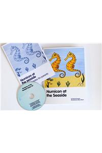 Numicon: At the Seaside - At Home