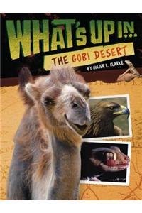 What's Up in the Gobi Desert