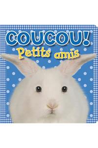 Coucou! Petits Amis