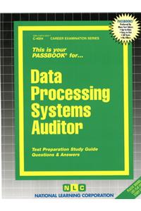 Data Processing Systems Auditor